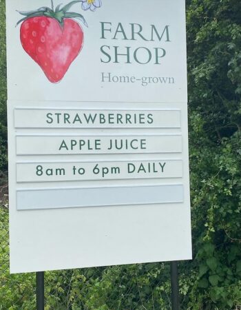 Maynard House Orchards